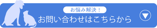 お悩み解決！お問い合わせはこちらから