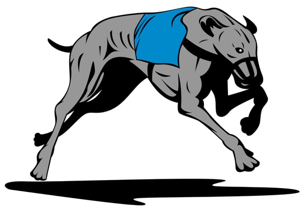 中毒治療を左右する犬種ごとの薬物代謝特性